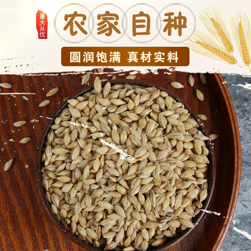 Долгосрочная спотовая поставка в Санчуане