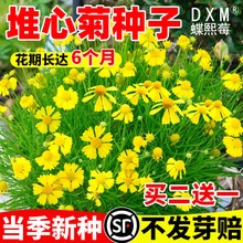 ľշNݶ޸ļ^GֲݷN̨ͥԺ