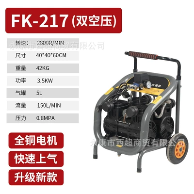 Machine Paint Air Compressor, Hava kompressorları - enhanced-fk217-double-air-compressor-standard