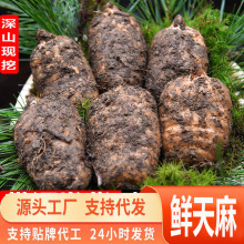 Դ^һlrҰͨؼС݉Ƭ؛