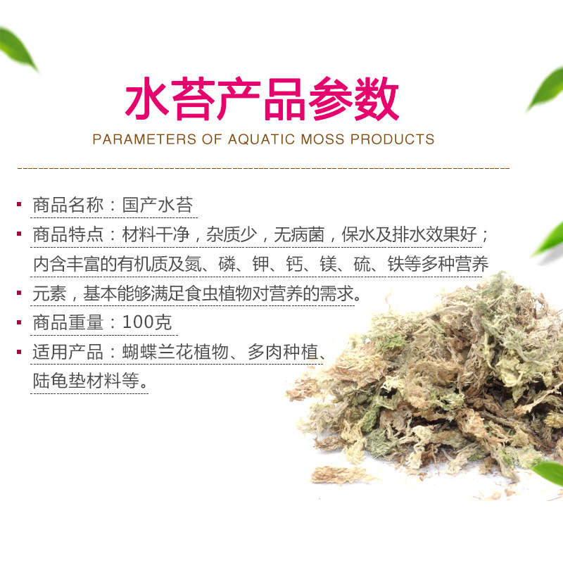 Wholesale factory dropshipping dry moss orchid butterfly plant succulent pet-specific mat substrate surface planting nutrient soil