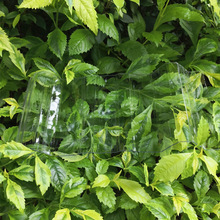 PC͸���������߲�����ͣ܇������ͥԺ��ˮ 930ꖹ��߲ɹ��ߏS��