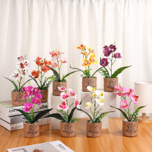 ����5������m����@ˇ�b�С�[������ٻ����Ա��Wins�L����Gֲ