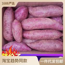 紫薯【香甜】山东新鲜紫罗兰红薯蜜薯番薯地瓜蔬菜批发2/10斤批发