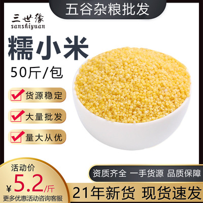 批發糯小米 廠家銷售五谷雜糧原料散裝 OEM代工貼牌