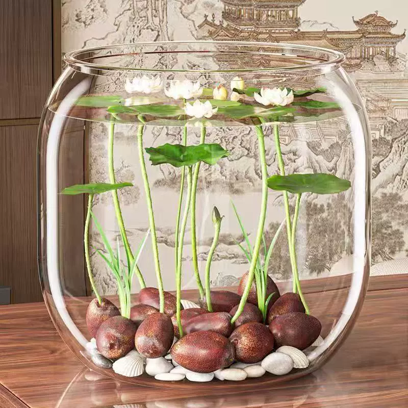 Микро-ландшафтный аквариум офис настольный экологический цилиндр для гостиной украшения ландшафтный дизайн черепаха цилиндр пластиковый прозрачный трансграничный горшок черепахи