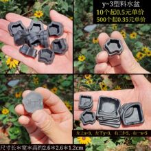 爬宠饮水盆 蟋蟀 捕鸟蛛 蝎子 蝈蝈水碗 S~3 厂家直销 爬宠盒造景