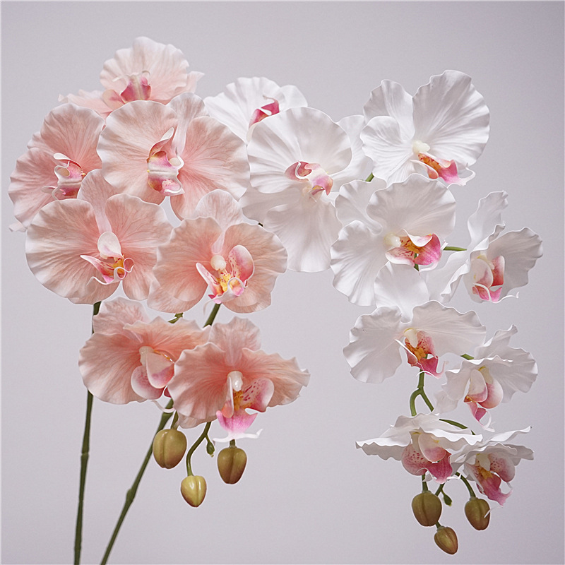 9 European-style Phalaenopsis Little Red Book with Korean-style ins Phalaenopsis Flower Ornaments Photography Home Decoration