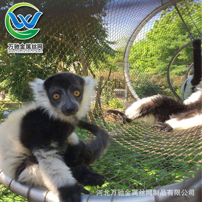 柔性动物园不锈钢绳网 老虎笼舍网 动物笼舍围网 猴子攀爬网