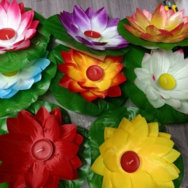 剥壳去核器;刨子、削皮器;厨房小工具