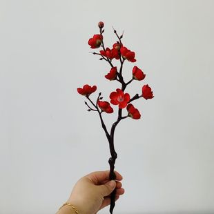 �赸��֦���߸߶��D÷���滨�ɻ��ٻ��廨����÷��֦�l�[�O