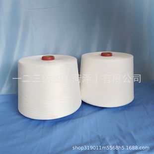 Anti-Pilling Acrylic Core-Spun Yarn Available in Stock, Support Samples, Welcome to Order