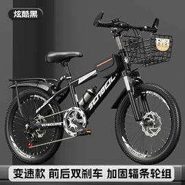 山地自行车;折叠自行车