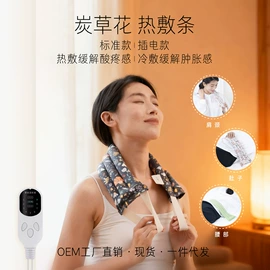 保健器具配件;电热护膝护腰;其他按摩器材