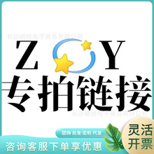 ZY专拍链接 ZY专拍链接  清仓