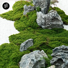 �Ϻ����շ���̦�\����̦���������Ƥֲ�������΢���^�Gֲ��ƺ