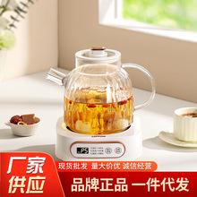 小浣熊养生壶办公室小型多功能保温煮茶器全自动玻璃烧水煮茶壶