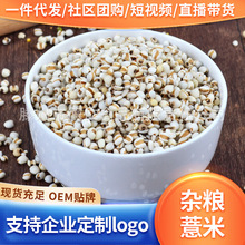 厂家直供贵州小薏米新货散装500g薏米仁薏苡仁五谷杂粮现货热卖