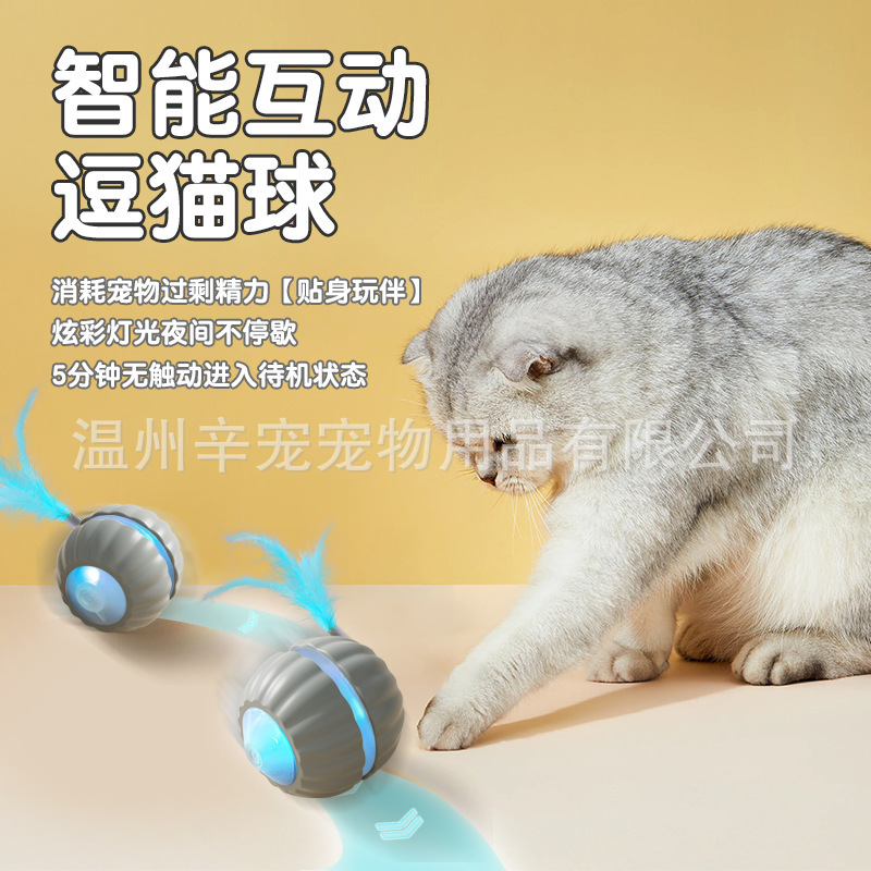 国境を越えた噛みつきにくい自動猫おもちゃボール、猫のおもちゃボール、退屈を和らげるロープ付きペット用品ローリングボール|undefined
