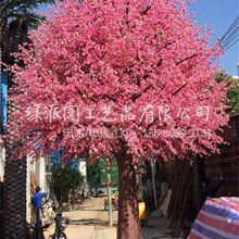 �����̳Ǒ�������b�ľ�޻������ľ�޻��� �����^�pľ�޻���