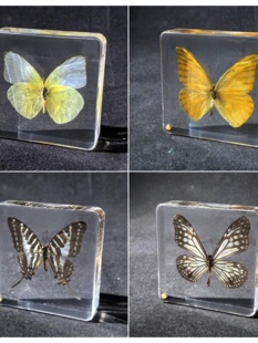 �挍С�����������˱��׃��@�̌W��ͯ������x������֬��悔[��