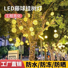led̫��ܝM���ǈA��ֵ������b�������������ʟ��W������