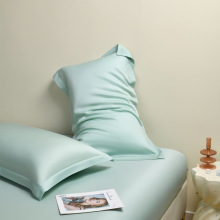 A类母婴级100支天丝枕套丝滑夏季凉爽冰丝枕头套48X74cm真丝枕巾