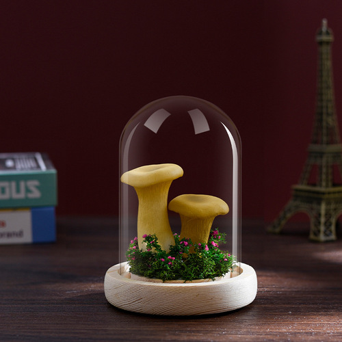 Manufacturer Direct Sale Simulation Mushroom Night Light Creative Everlasting Flower Glass Dome Gift Lighted Ornament Festival Gift