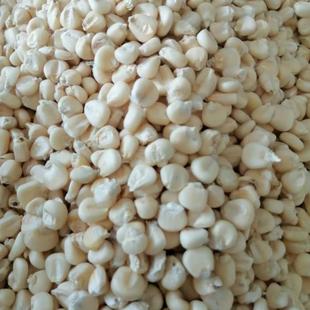 �F�ݰ�Ŵ���Ȱ��Ȯ���Ŵ���װ�Ŵ�����װ�Ŵ����Ŵ����