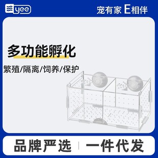 Peacock Breeding Box Incubation Box Acrylic Fish Tank Isolation Box Ovipositor Fish Egg Breeding Box Small Fish Laparage