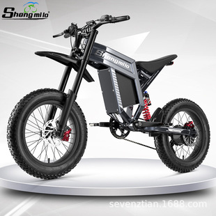 Shengmilo�羳����20���X�Ͻ�늄�����܇60V�늳���ԽҰ�����Ħ