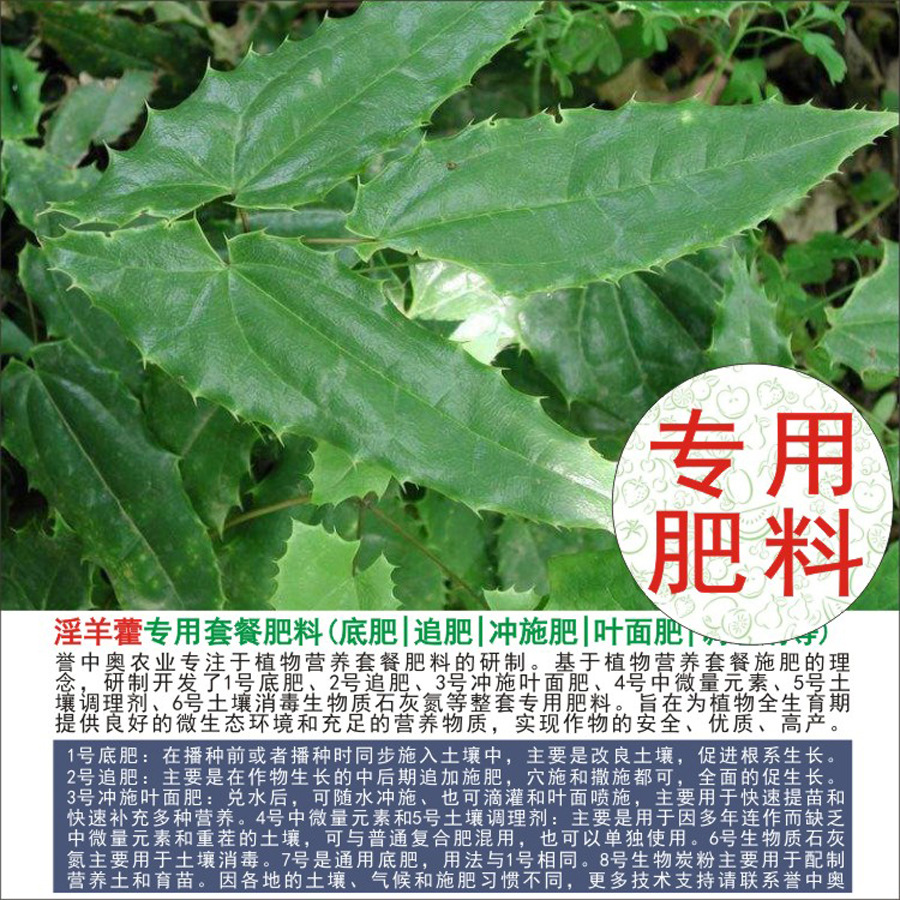 50�����а�����޽ר���л��ʸ��Ϸʵ׷�׷��Ҷ��ʳ�ʩ��ˮ�ܷ�