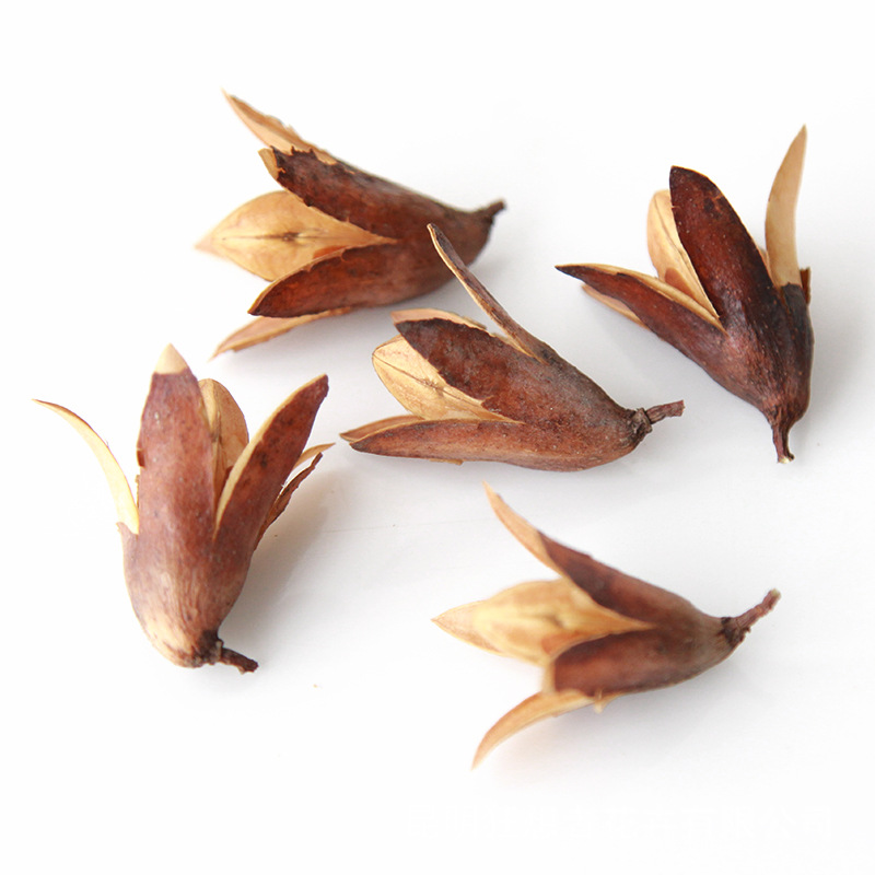 Toon Fruit [20 cái trong một hộp, khoảng 10 gram]