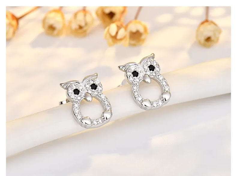 3g Weight Copper Ear Needle Material Zircon Inlay Material Ear Studs Classification 1 Pair Quantity Daily Occasion Copper Material Owl Pattern Women's Gender Cute, Sweet Style 1 Pair Cute Sweet Owl Copper Zircon Ear Studs 12