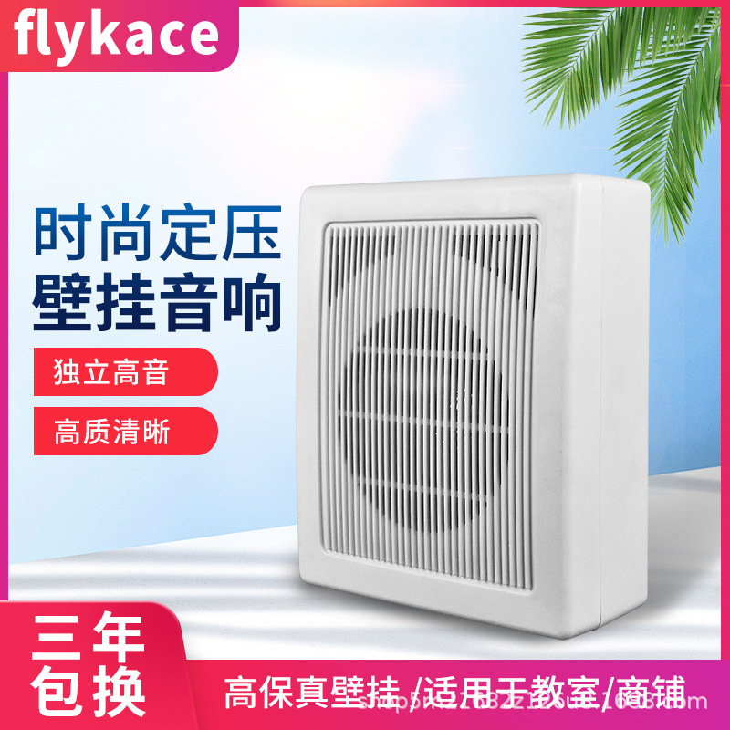 Flykace WS-621壁挂けスピーカー壁挂けスピーカー放送音响学校店舗用オーディオ|undefined