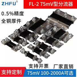 FL-2 0.5级75mV直流电流分流器100A200A300A500A150A电流采样电阻