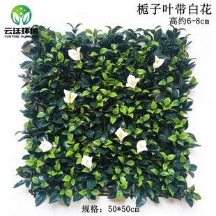 �S�ҹ�������ֲ�����ֲ������ƺ�b����ϲ�ƺ�d���~���׻�