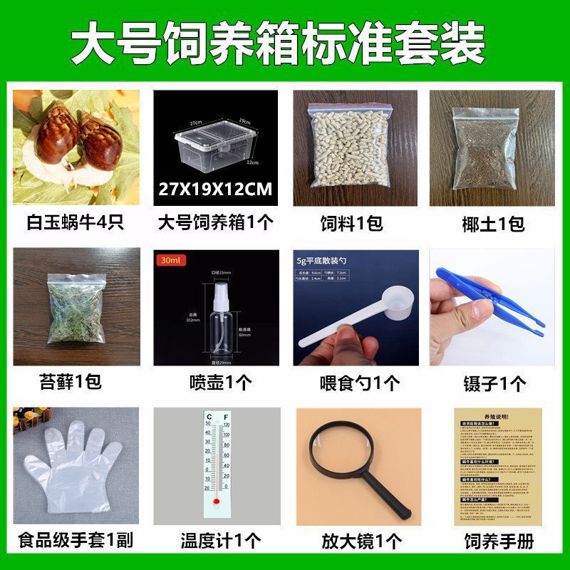 O1CN011wYz491dxpILmv06o_!!2219824203803-