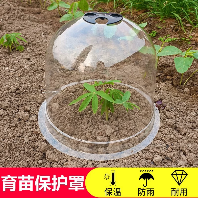 Пластиковый ПВХ прозрачный саженец крышка теплица садовые овощи