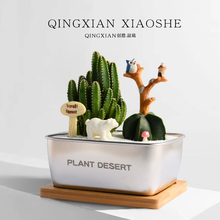 仙人掌万重山防辐射组合盆栽创意礼物微景观桌面绿植好养耐旱植物