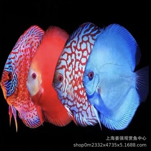 �߲������~�Ꭷ�^�p�~��֮�{������ʯ��ɏ���t���S���д����^�p�~