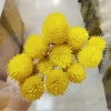 Yellow strawberry, 15 pieces