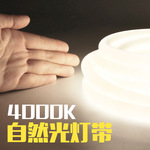 自然光led柔性灯带暖光商用隐光220v12V软灯条4000k中性光霓虹灯