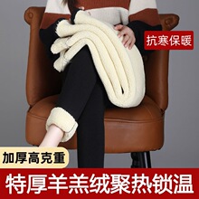 加绒加厚羊羔绒打底裤女秋冬保暖裤外穿大码东北特厚棉裤800克重