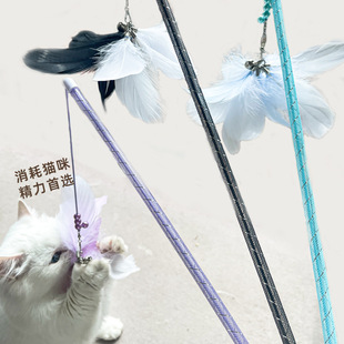 ���Sֱ�N���Qβ�Ώ����K�߻؏���؈����ë��K؈���������