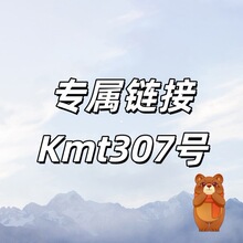专属链接+Kmt307号