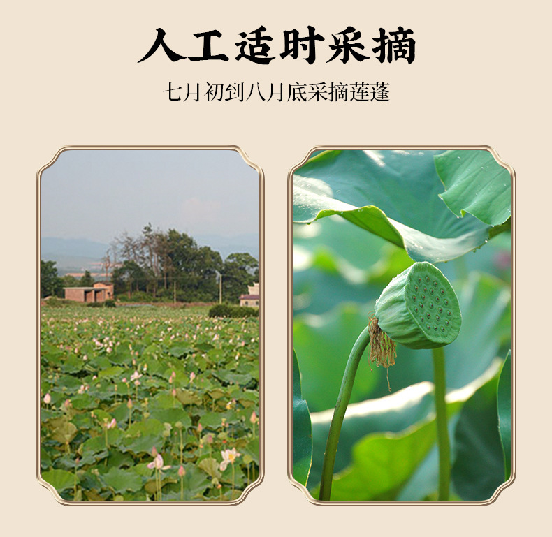 White Lotus Seeds Jian Ning Lian Zi 500g Core Removed Dried Seeds for Soup and Congee key features