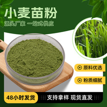 资质齐全绿色粉末小麦苗生粉 含膳食纤维品质保障可拿样小麦苗粉