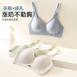 2025����ɯ�ЋD���؟o�Ȧ�۔n���з��´���Пo�ۮa���в�����