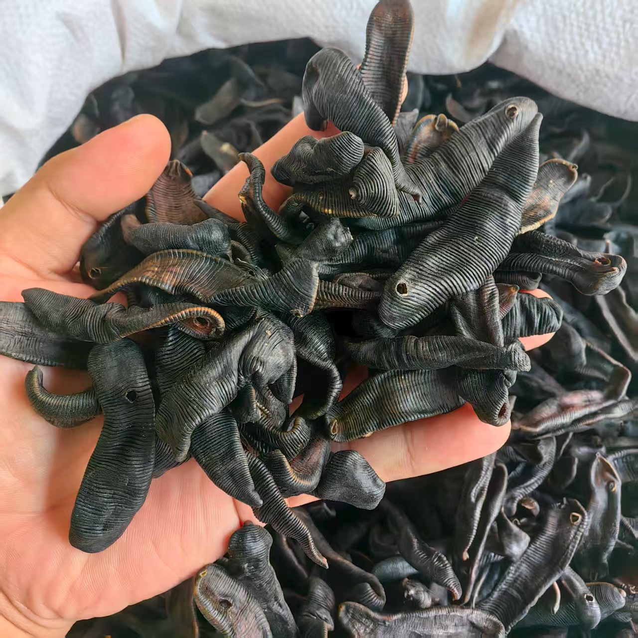 Dried Leech Shui Zhi 水蛭 Whole Dried Medicinal Herb 500g Traditional TCM Ingredient quality and texture